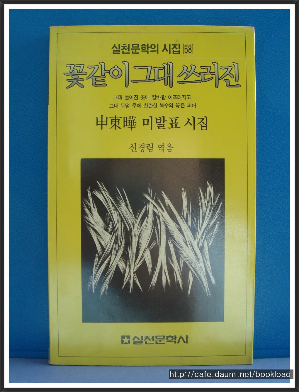 신경림 엮/꽃같이 그대 쓰러진 사진 1