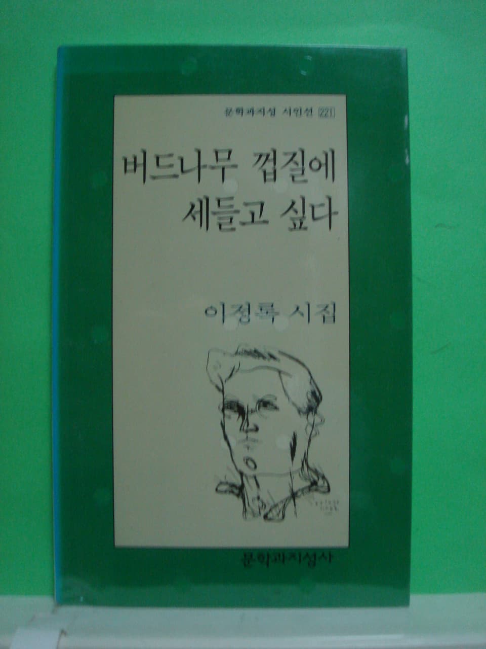 이정록/버드나무 껍질에 세들고 싶다 사진 1