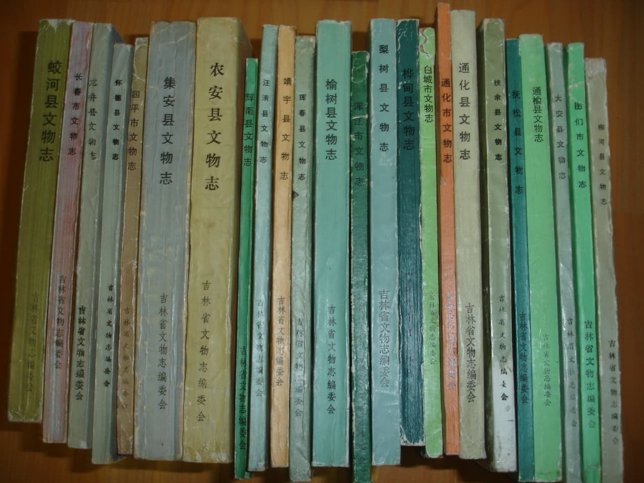 길림성문물지 24권 사진 1