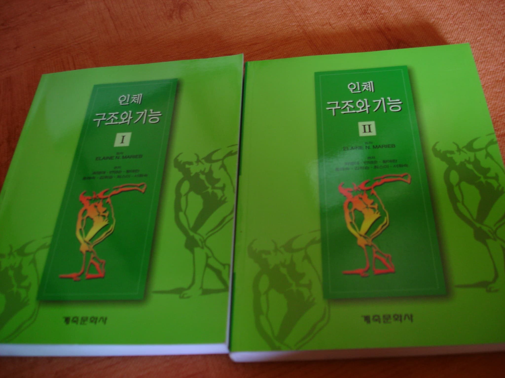 인체 구조와 기능 (사진유) 사진 1