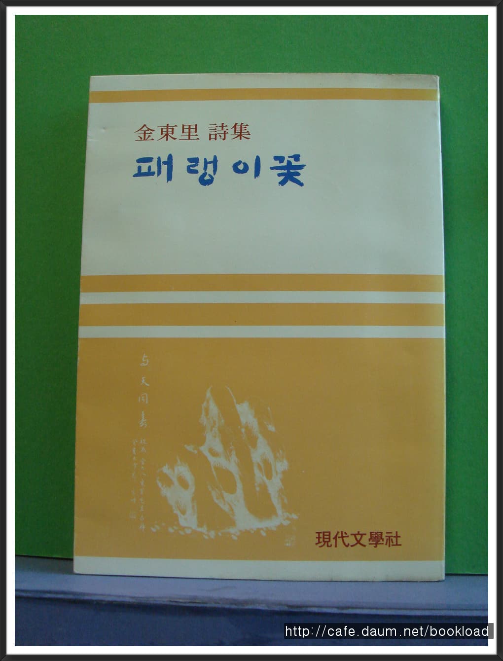 김동리/패랭이꽃 사진 1