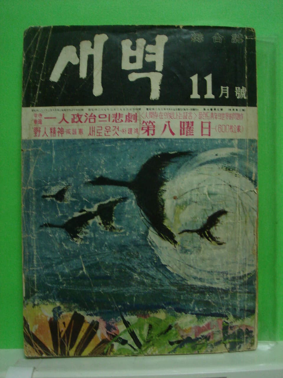 새벽 사진 1