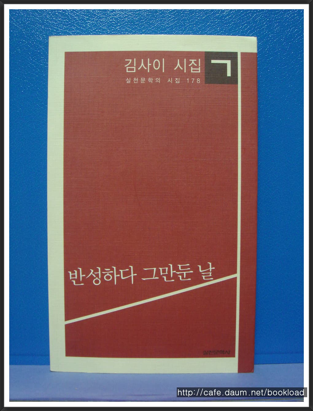 김사이/반성하다 그만둔 날(저자 서명본) 사진 1