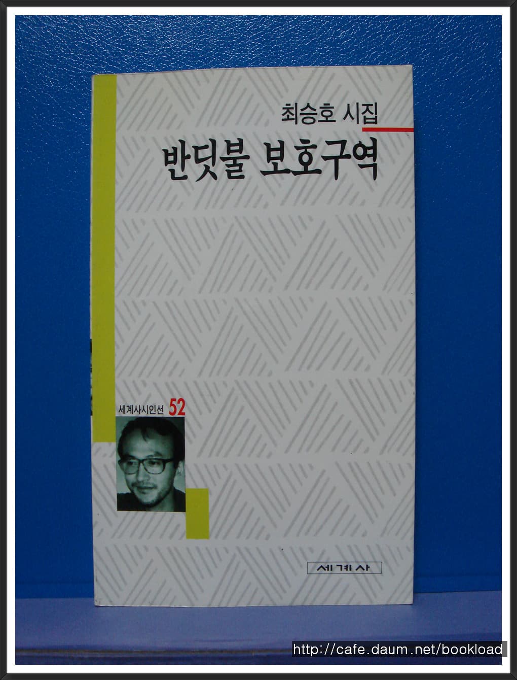 최승호/반딧불 보호구역(제6시집) 사진 1