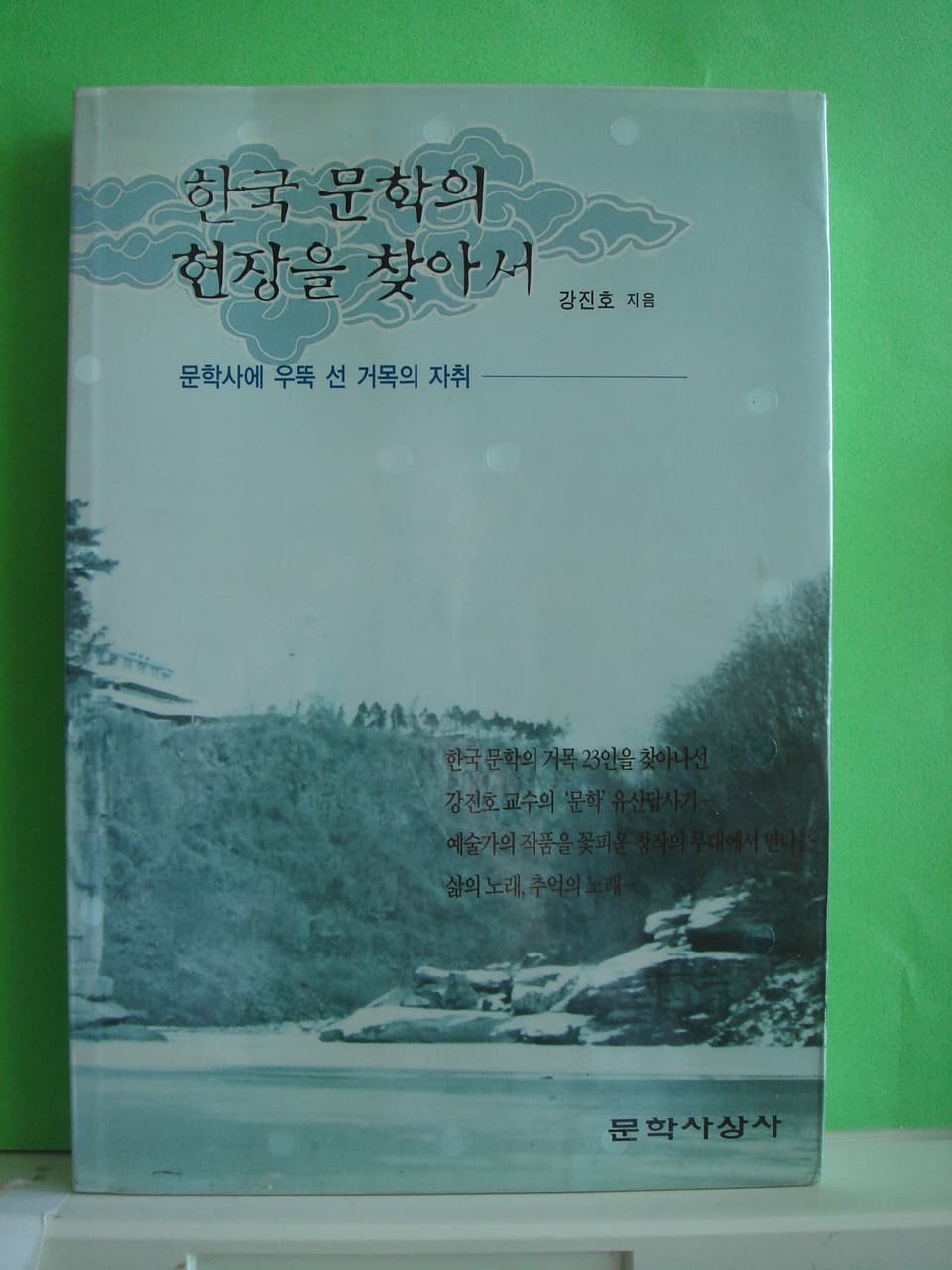 강진호/한국 문학의 현장을 찾아서 사진 1