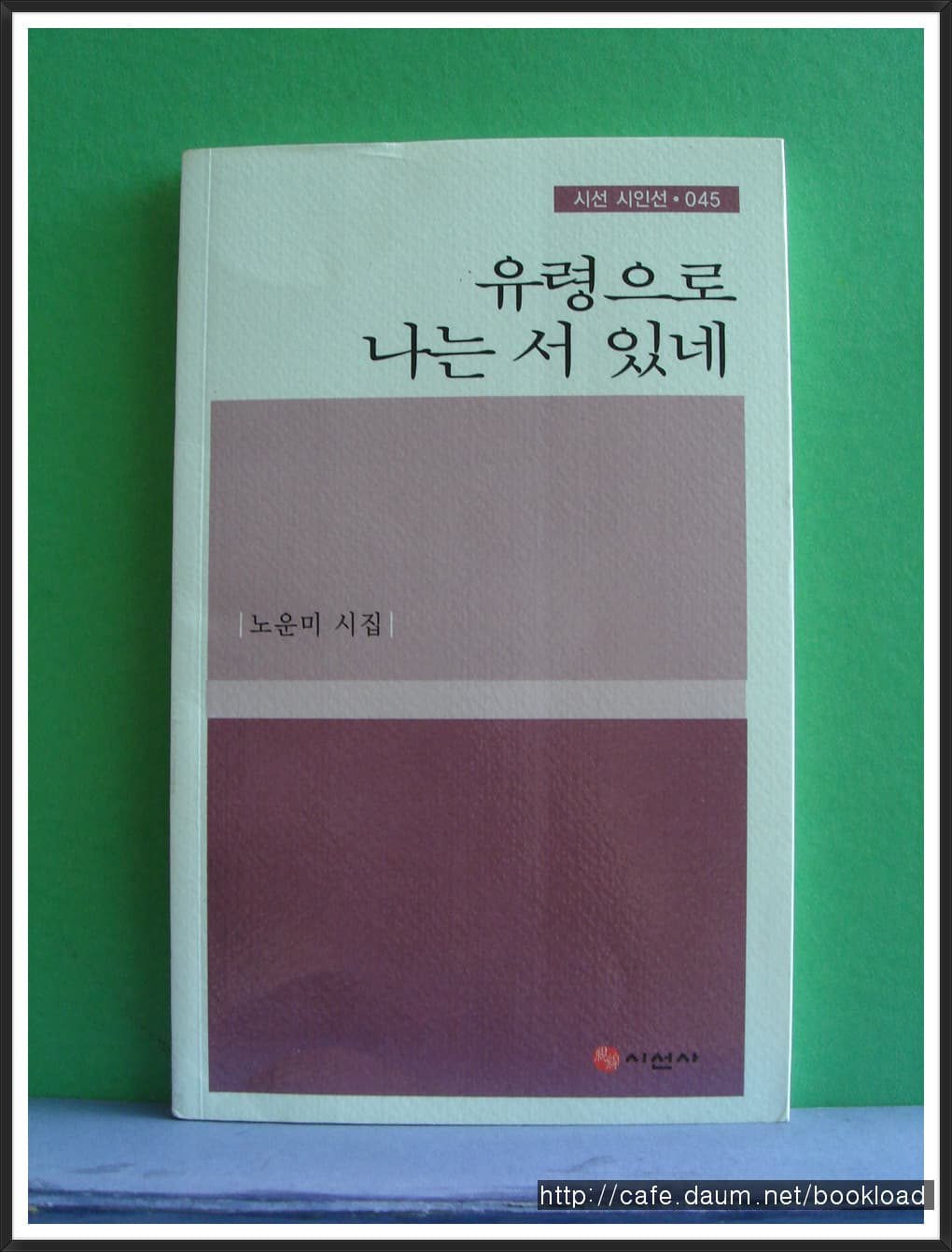 노운미/유령으로 나는 서 있네(저자 서명본) 사진 1