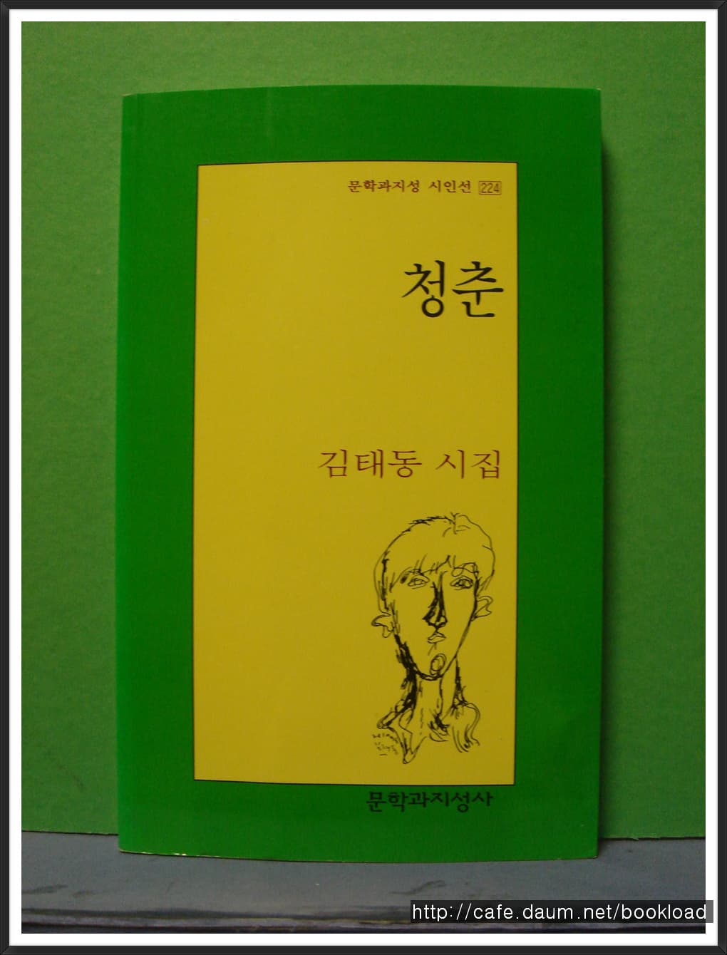김태동/청춘(제1시집) 사진 1