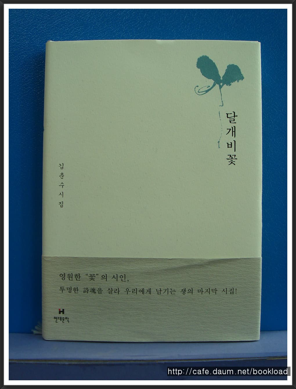 김춘수/달개비꽃(마지막 시집) 사진 1