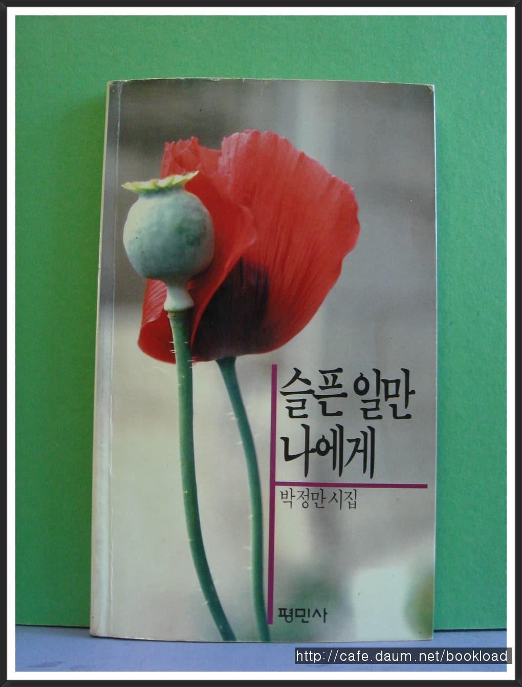 박정만/슬픈 일만 나에게(제8시집 . 88년) 사진 1