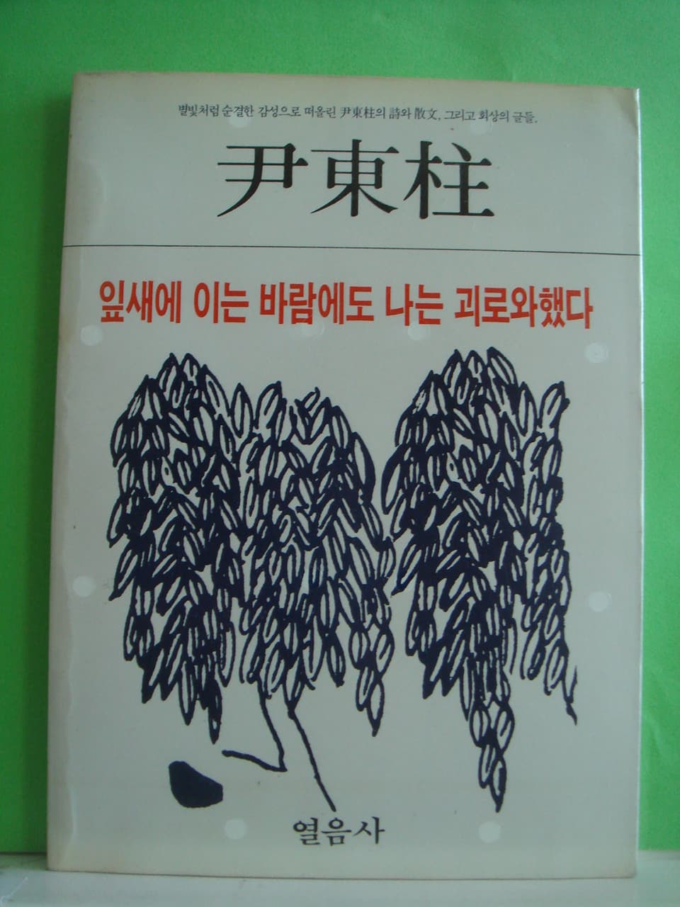윤동주/바람에 이는 바람에도 나는 괴로워했다 사진 1