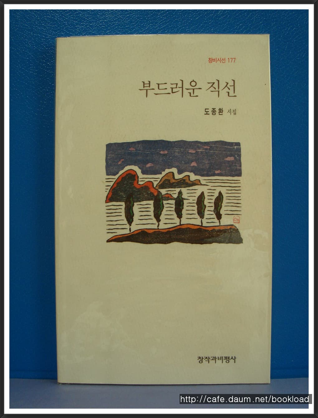도종환/부드러운 직선(제8시집) 사진 1