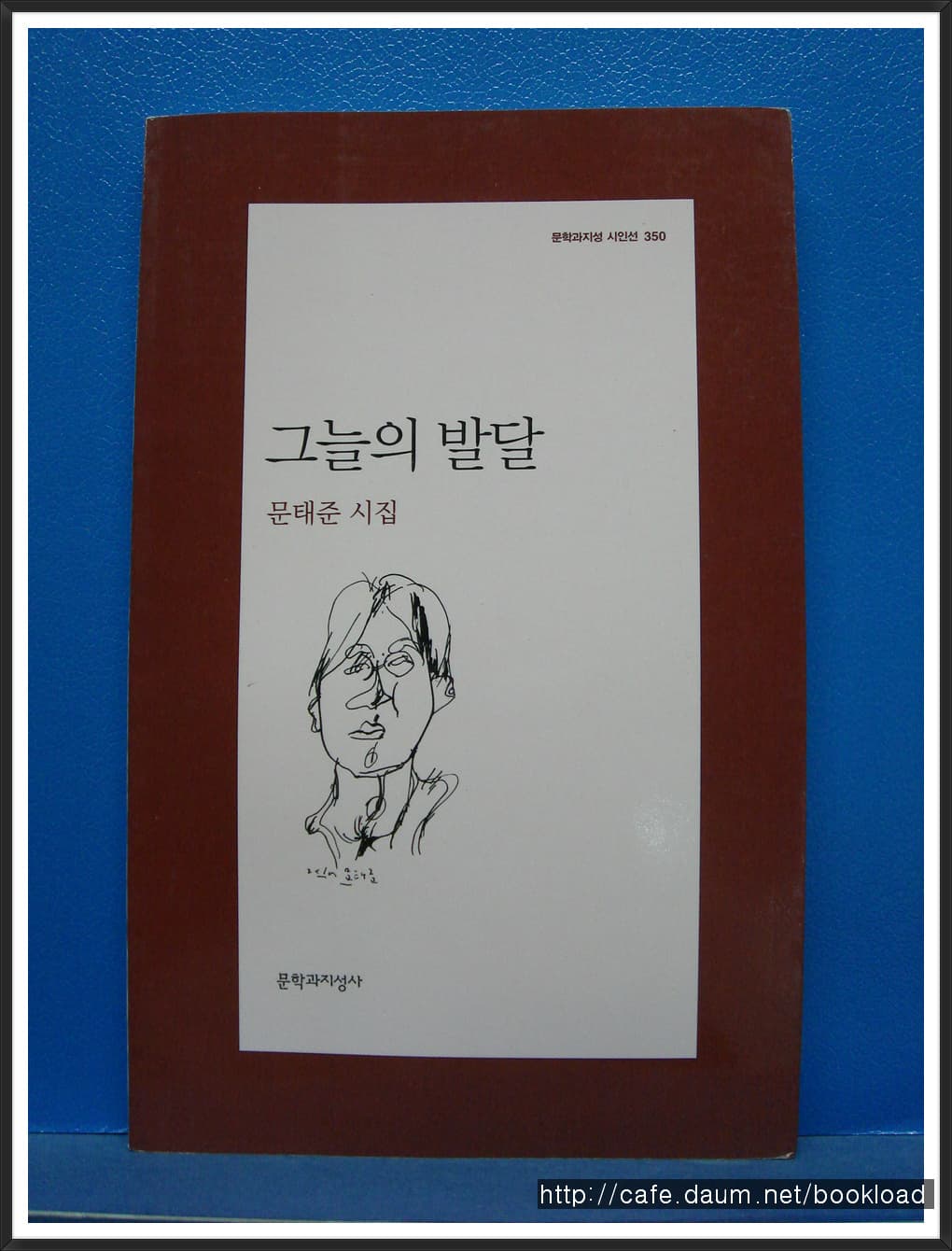 문태준/그늘의 발달 사진 1