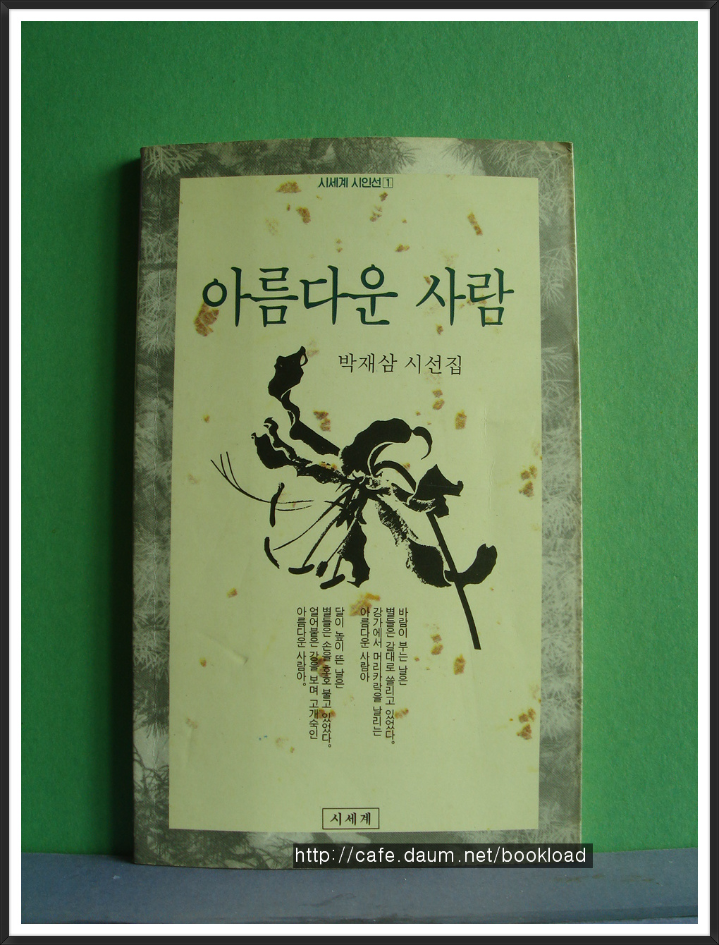 박재삼/아름다운  사람(시선집) 사진 1