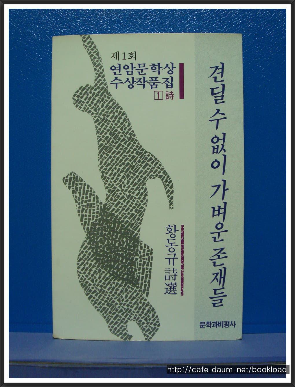 황동규/견딜 수 없이 가벼운 존재들 사진 1