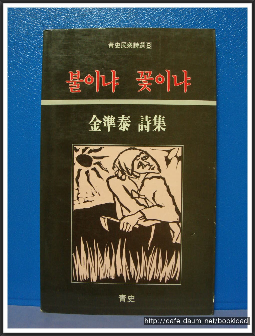 김준태/불이냐 꽃이냐 (5시집) 사진 1