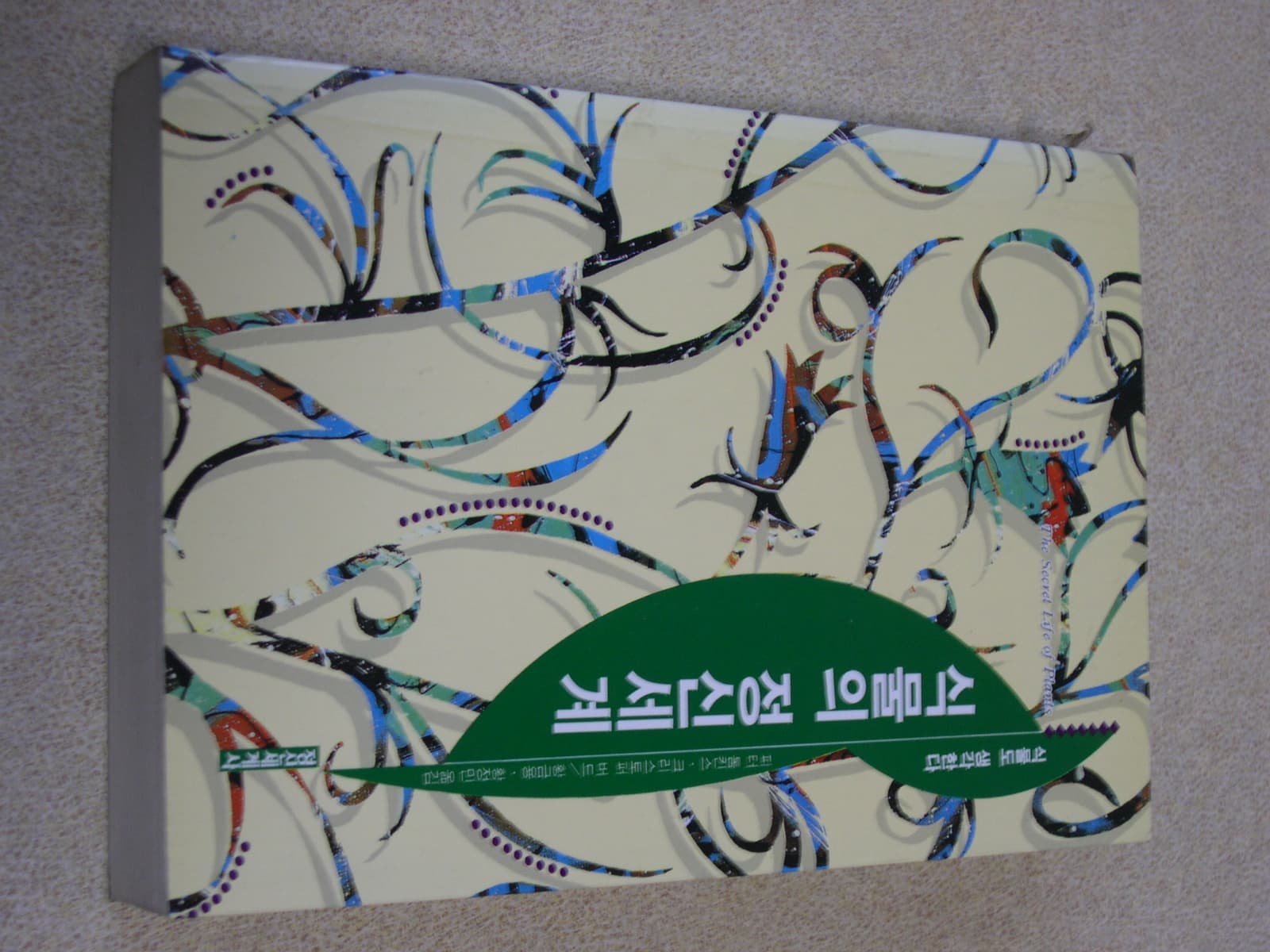 식물의 정신세계 사진 1