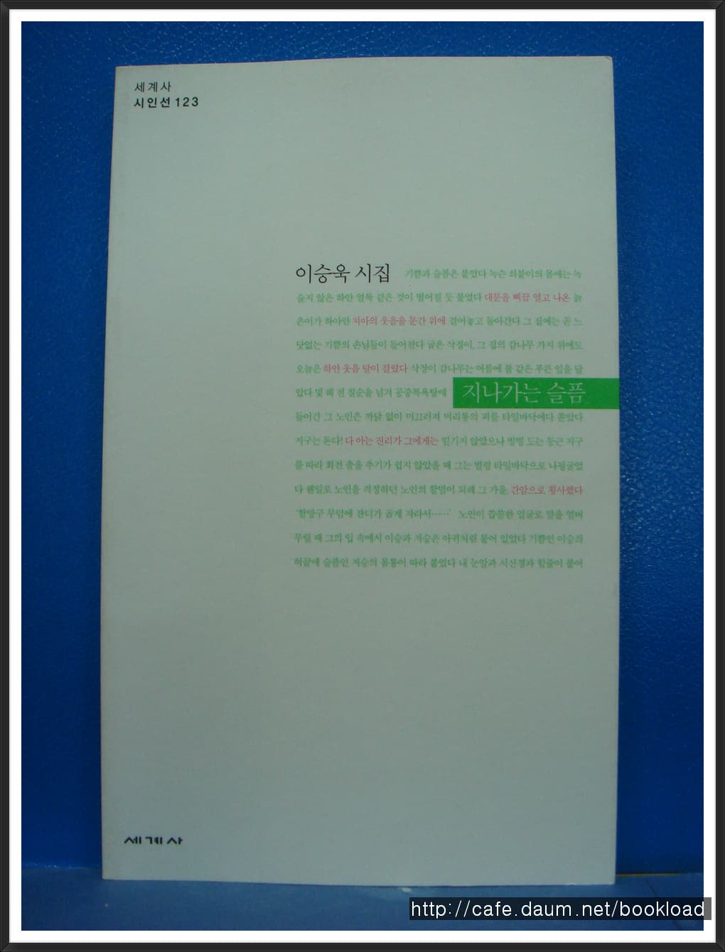 이승욱/지나가는 슬픔 사진 1