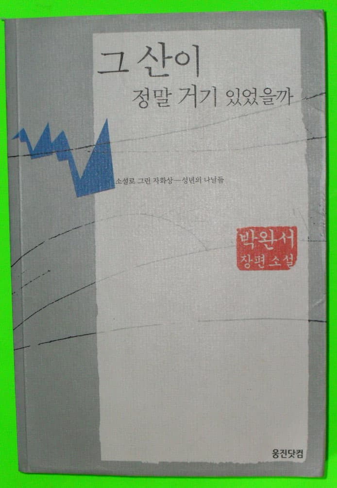 그 산이 정말 거기 있었을까 사진 1