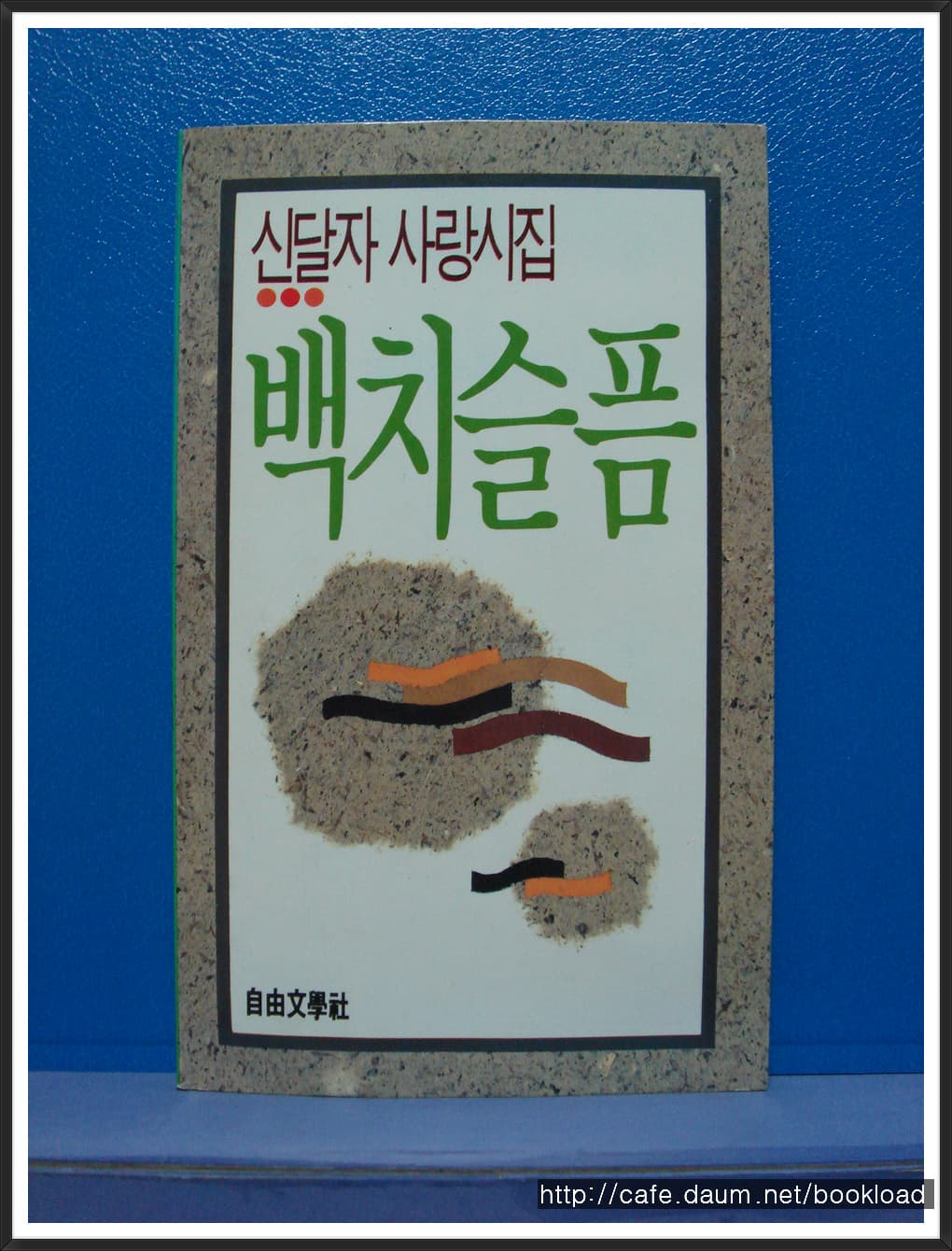 신달자/백치슬픔 (제4시집) 사진 1