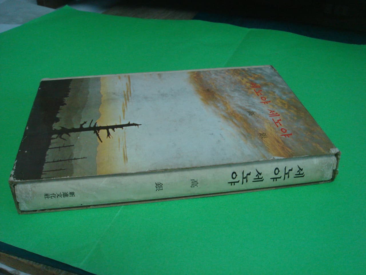 고은/세노야 세노야 사진 1