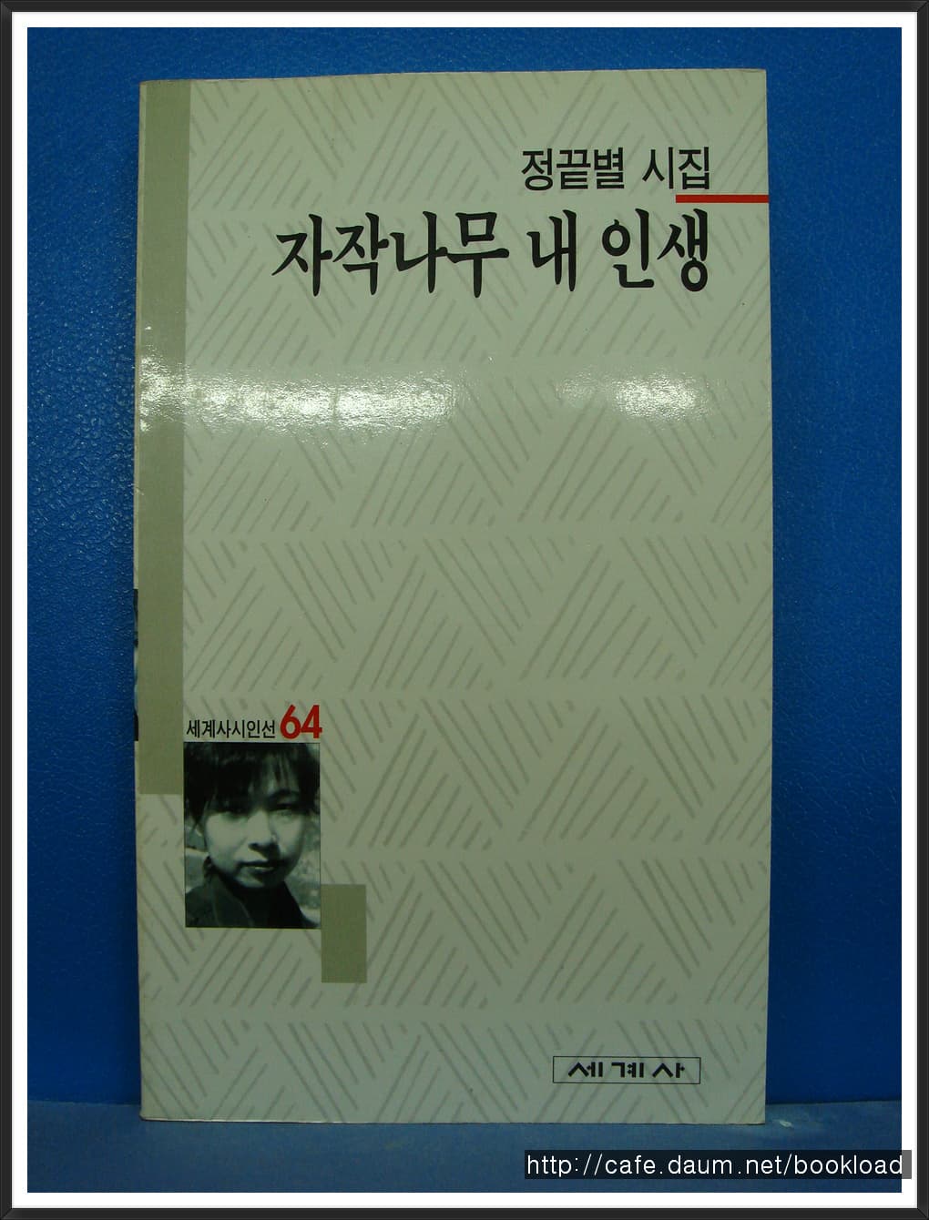 정끝별/자작나무  내 인생 (제1시집) 사진 1