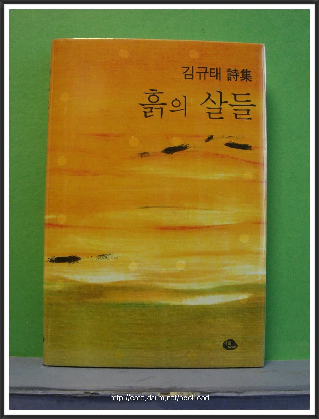 김규태/흙의 살들 (제4시집) 사진 1