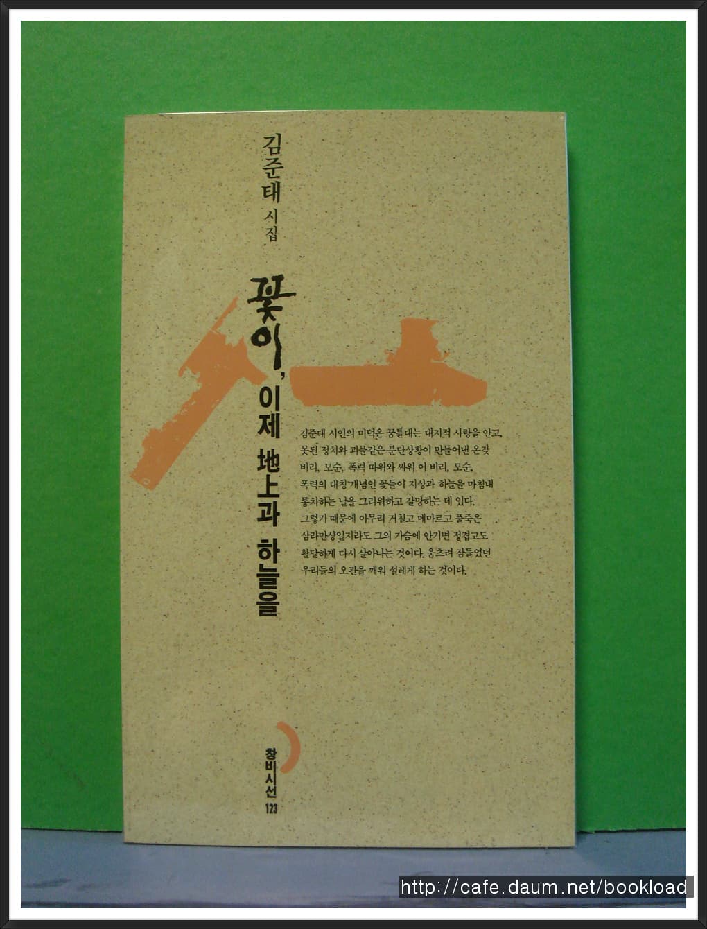 김준태/꽃이 이제 지상과 하늘을(제10시집) 사진 1