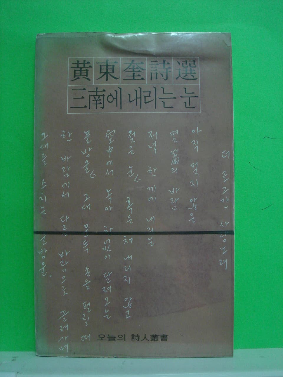 황동규/ 삼남에 내리는 눈 사진 1