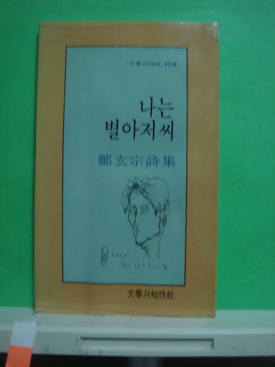 정현종 / 나는 별아저씨 사진 1