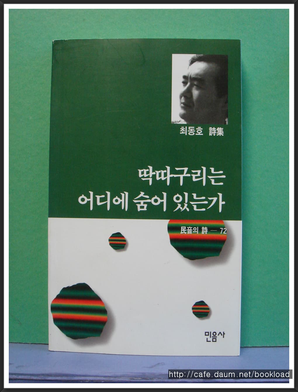 최승호/딱따구리는  어디에 숨어 있는가 (제3시집) 사진 1