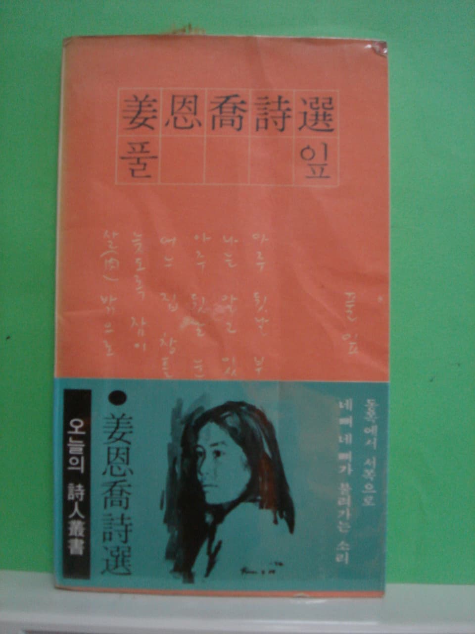 강은교 / 풀잎 사진 1