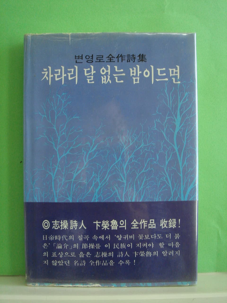 변영로/차라리 달없는 밤이드면 (시전집) 사진 1