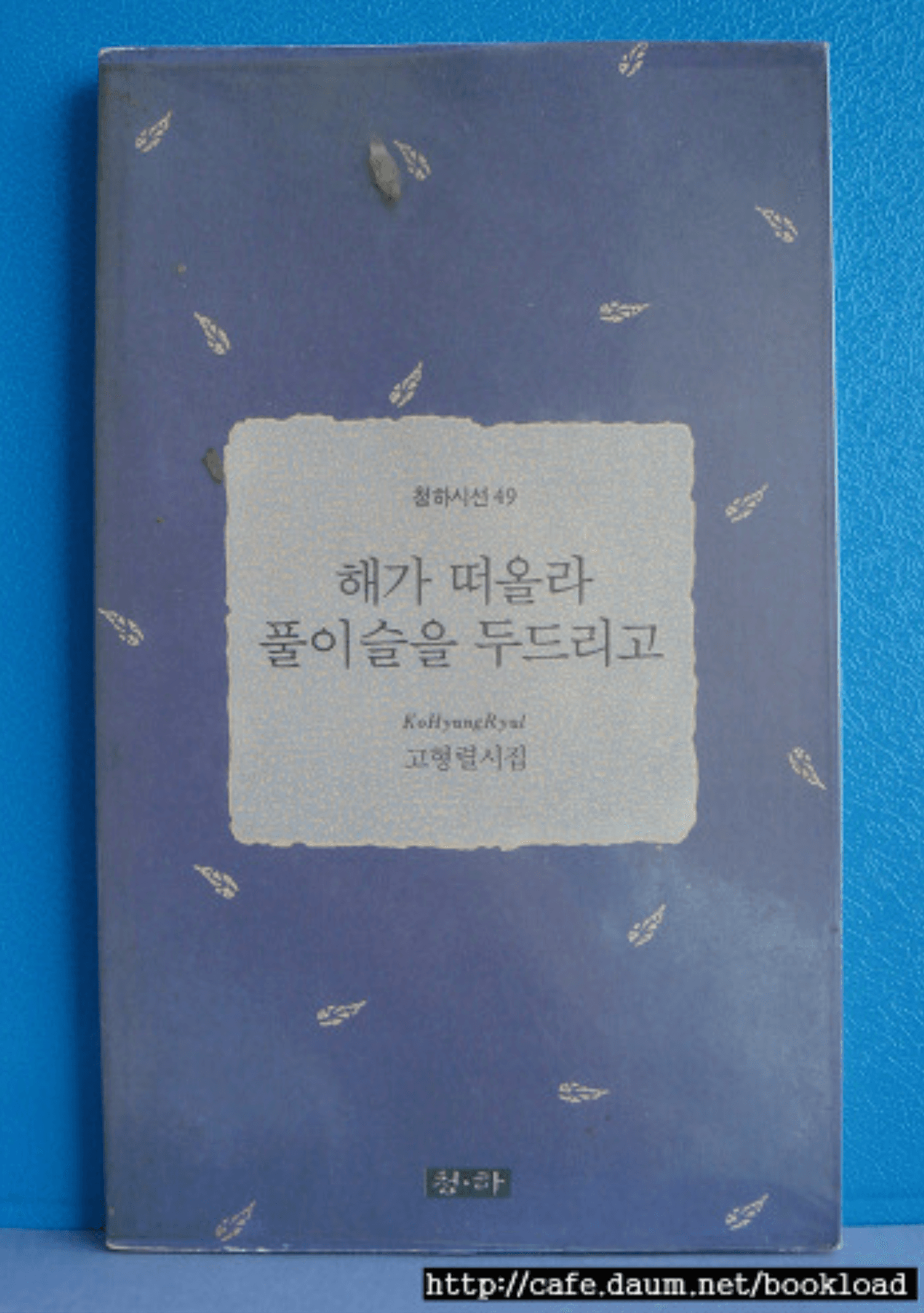 고형렬/해가 떠올라 풀이슬을 두드리고(제3시집) 사진 1
