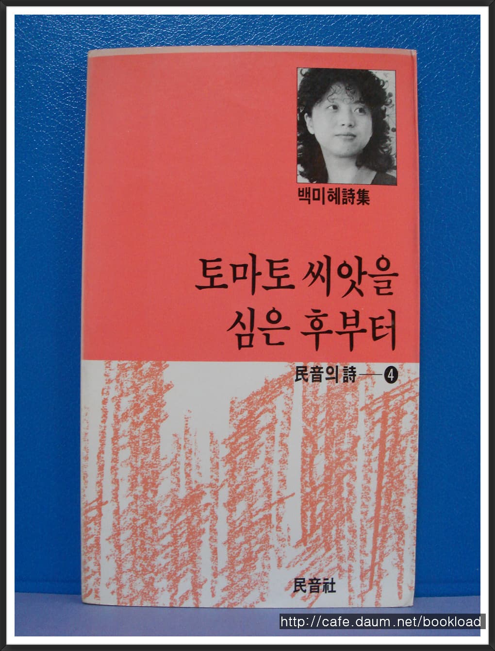 백미혜/토마토 씨앗을 심은 후부터 사진 1