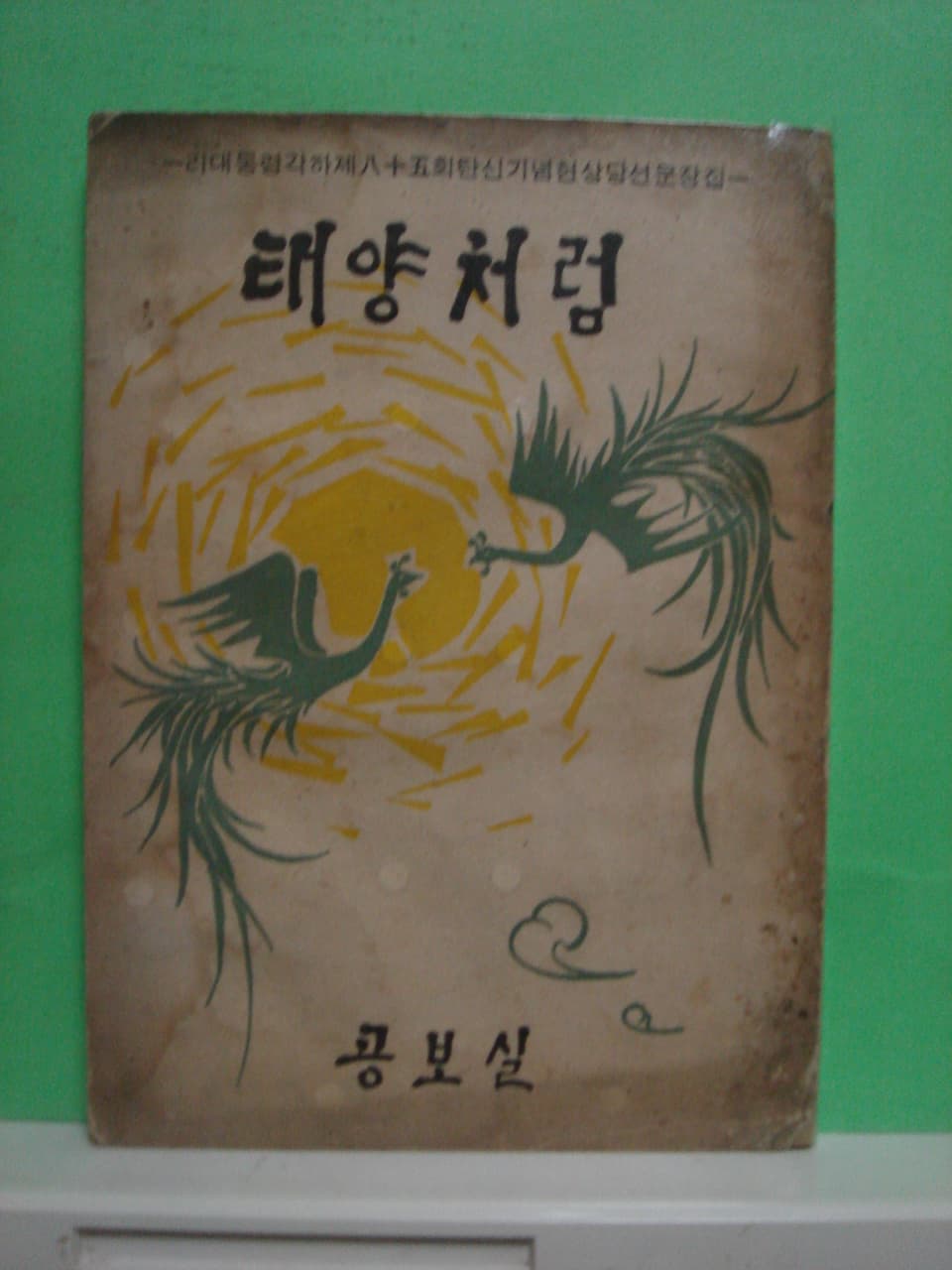 태양처럼 사진 1