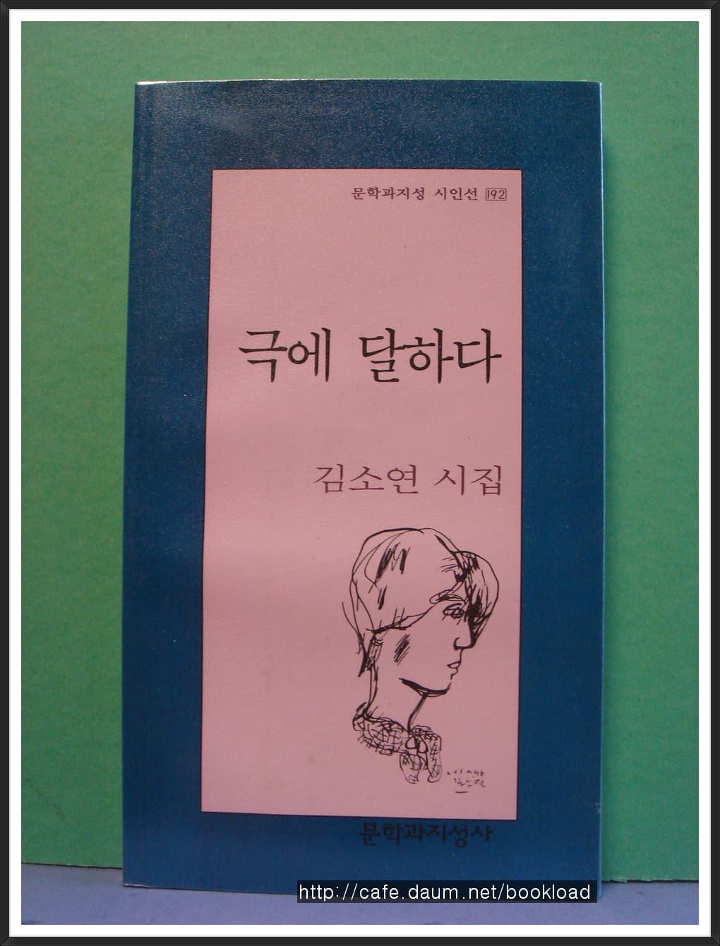 김소연/극에 달하다 (제1시집) 사진 1