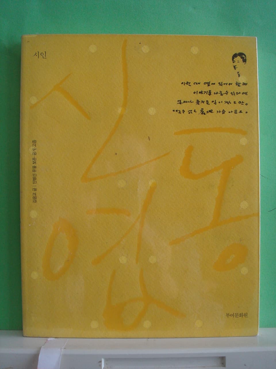 강은교/시인 신동엽 사진 1