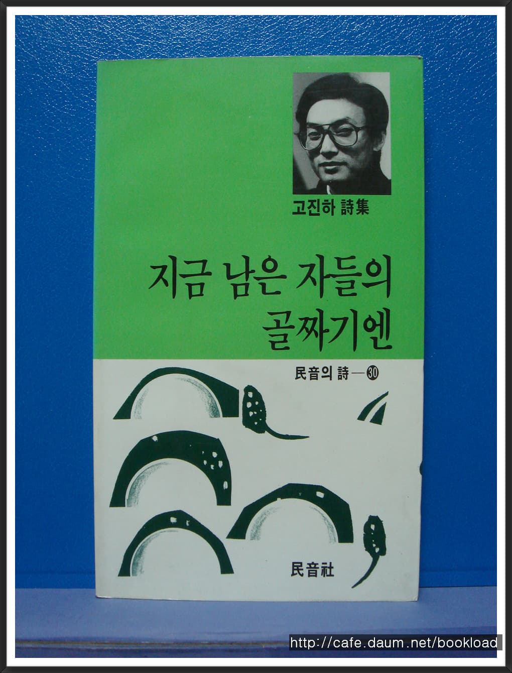 고진하/지금 남은 자들의 골짜기엔(1시집) 사진 1