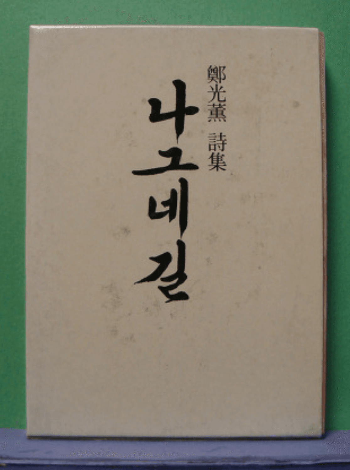 정광훈/ 나그네 사진 1