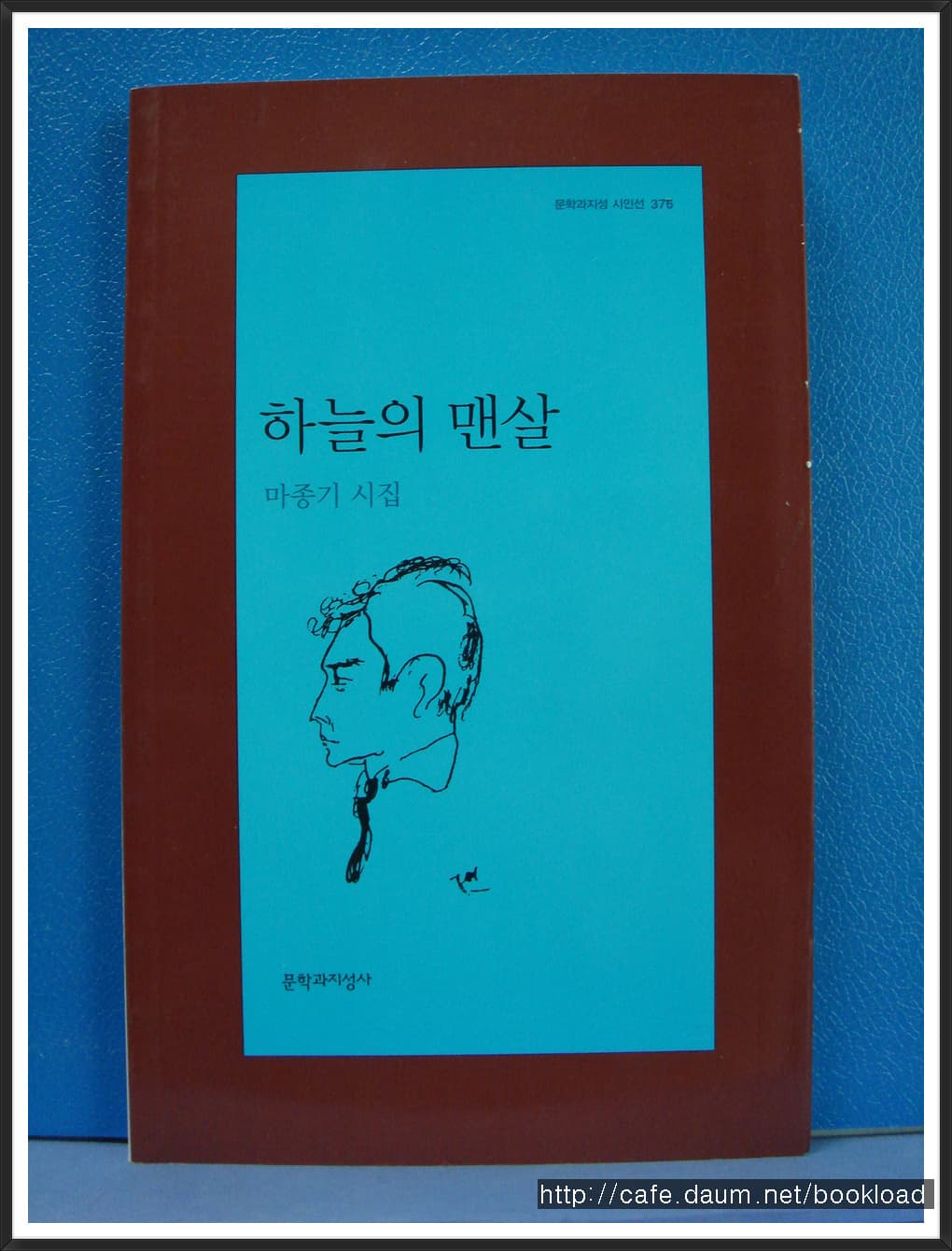 마종기/하늘의 맨살 사진 1