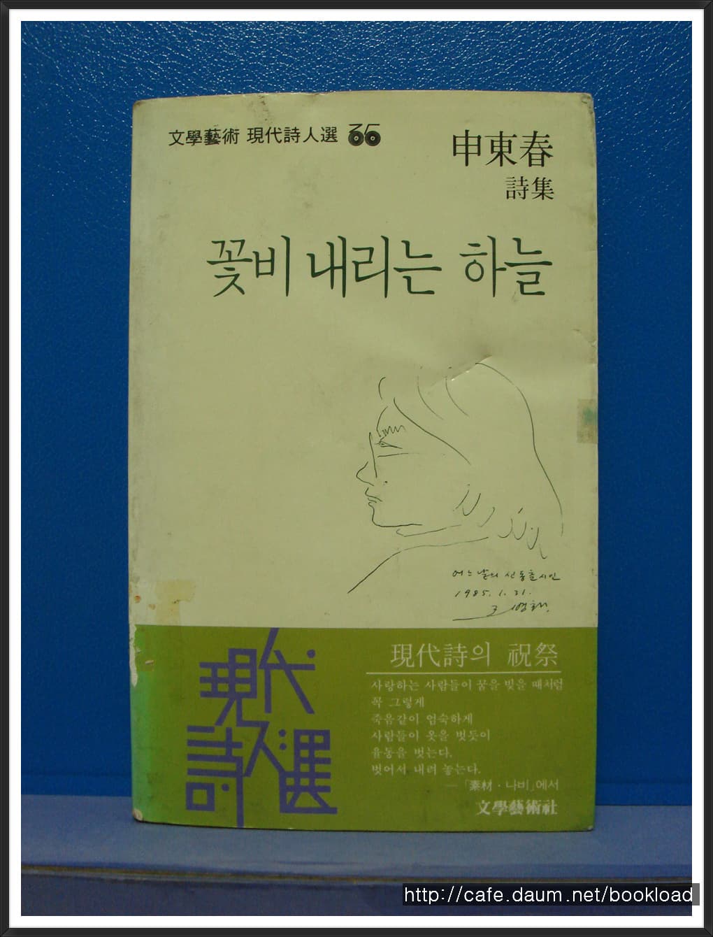 신동춘/꽃비 내리는 하늘 사진 1