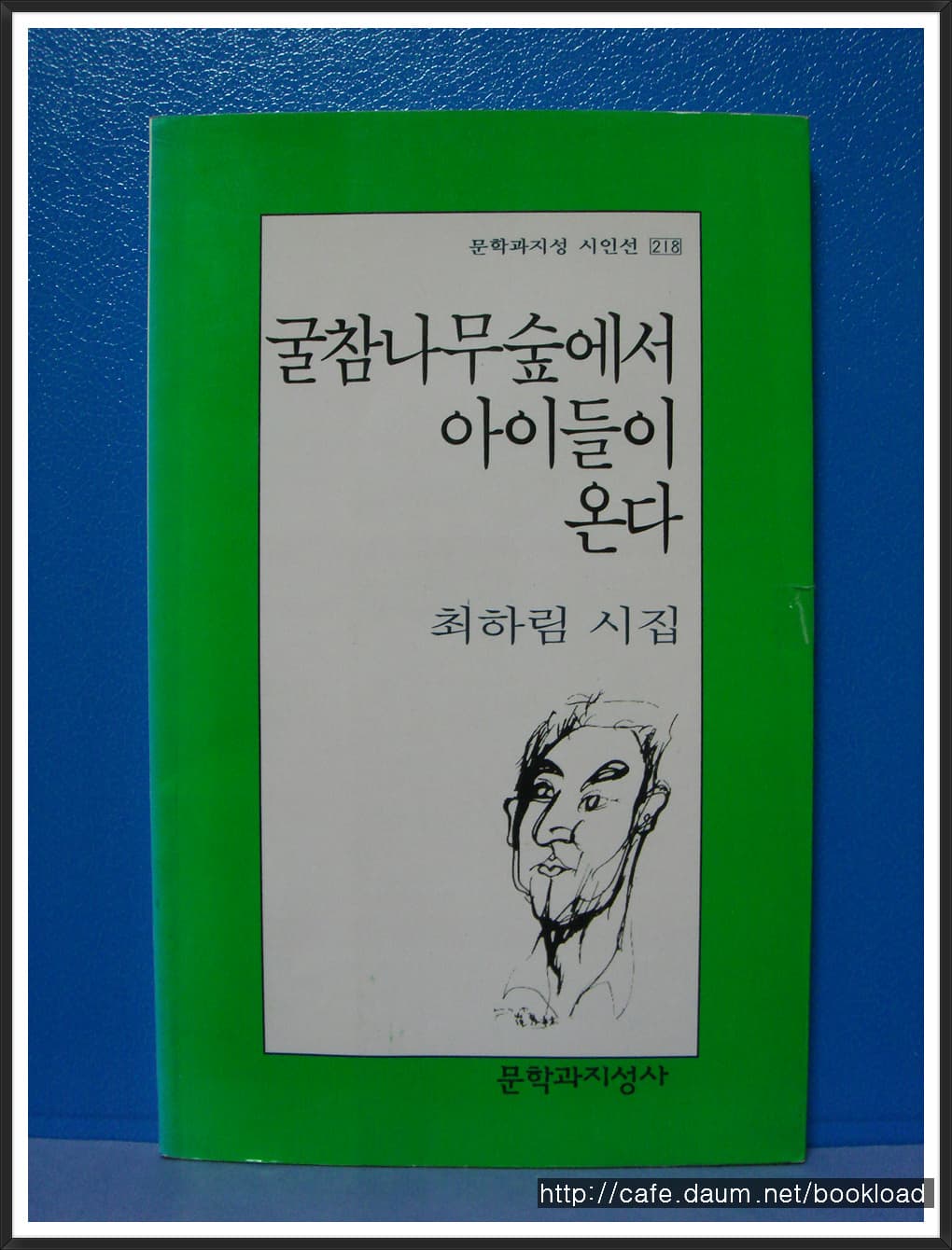 최하림/굴참나무숲에서 아이들이 온다(제8시집) 사진 1
