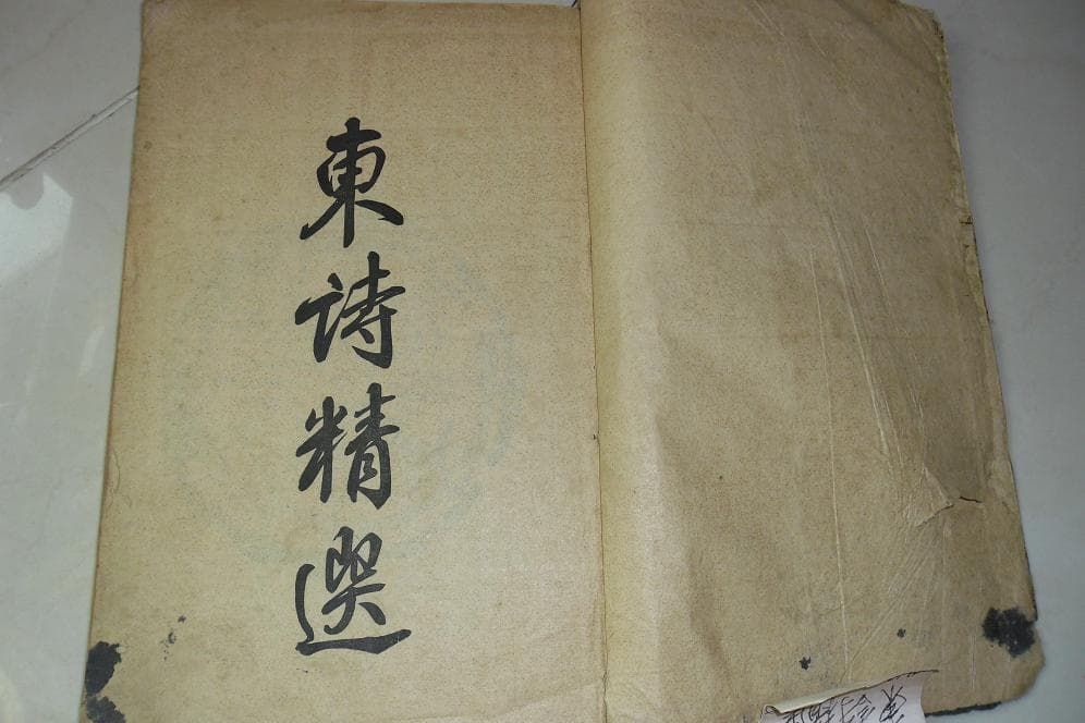 동시정선 사진 1