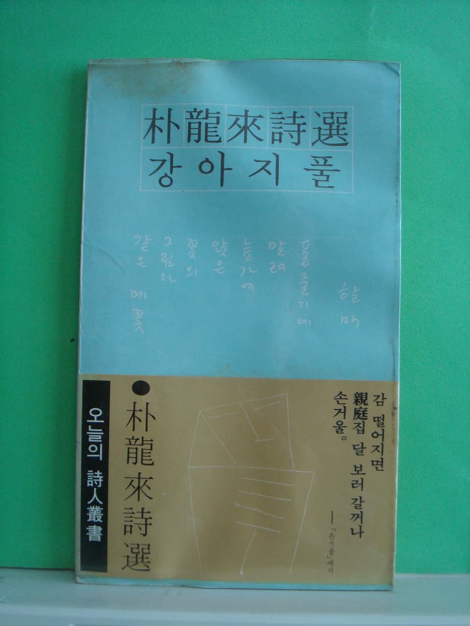 박용래/강아지풀 사진 1