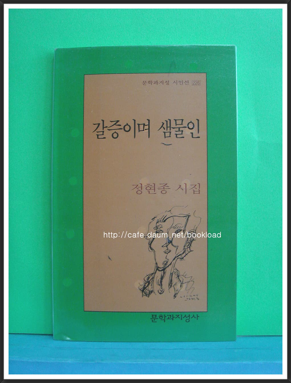 정현종/갈증이며 샘물인 사진 1
