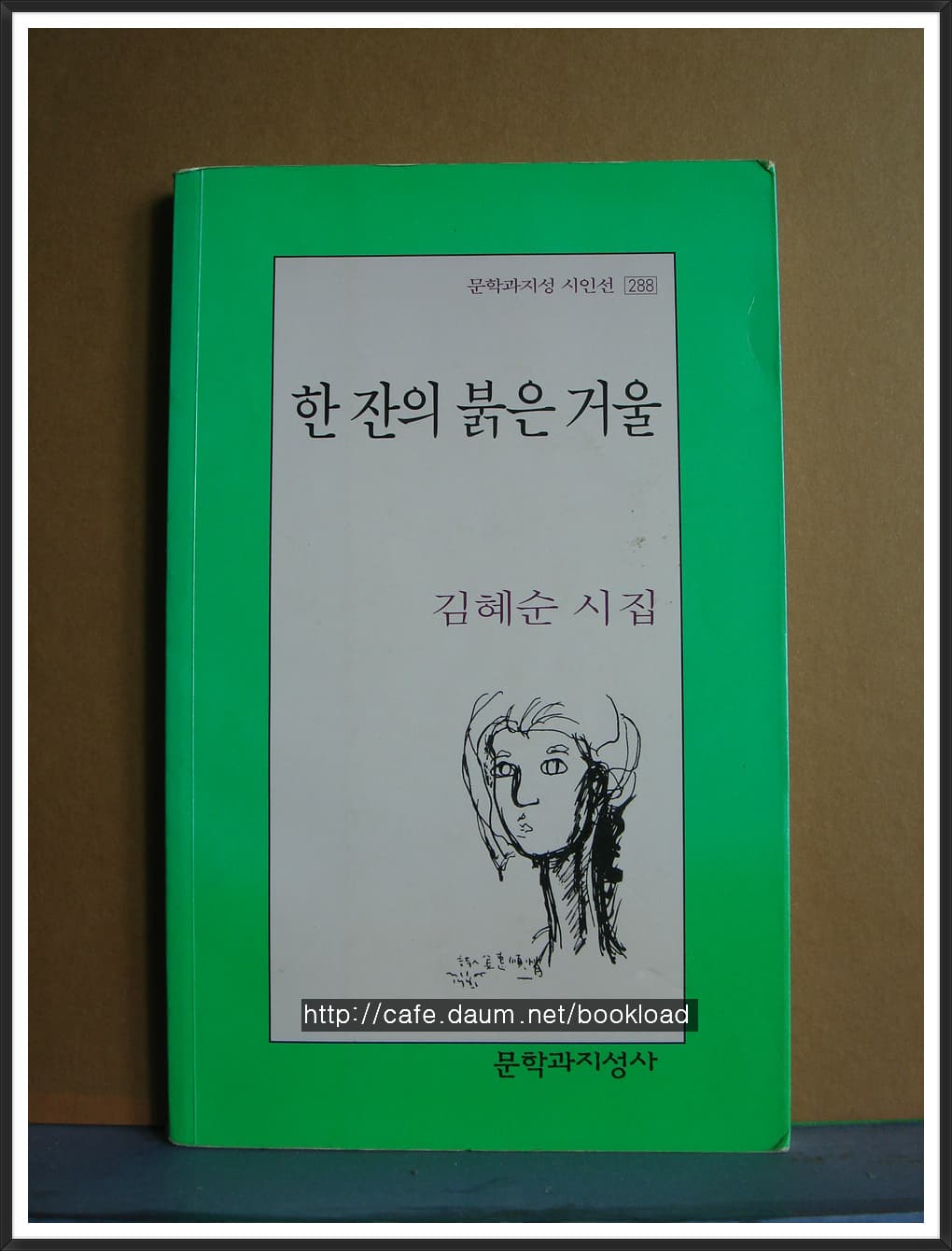 김혜순/한 잔의 붉은 거울 (제7시집) 사진 1