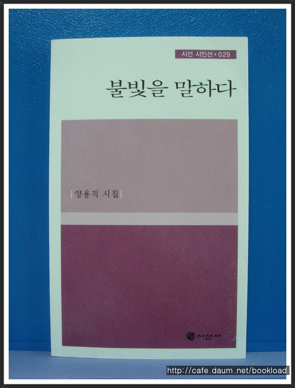 양용직/불빛을 말하다(저자 서명본) 사진 1