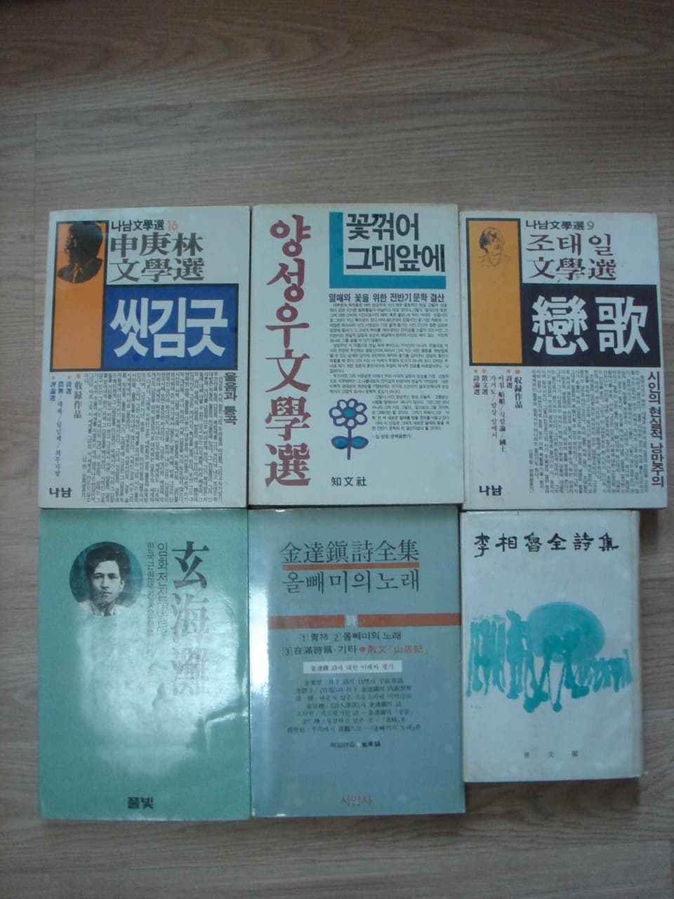 조태일문학선 / 연가 사진 1