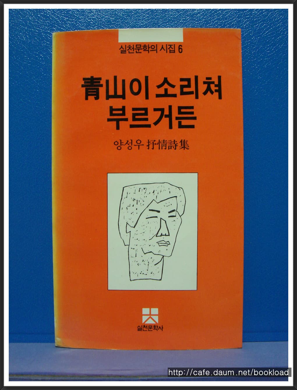 양성우/청산이 소리쳐 부르거든 사진 1