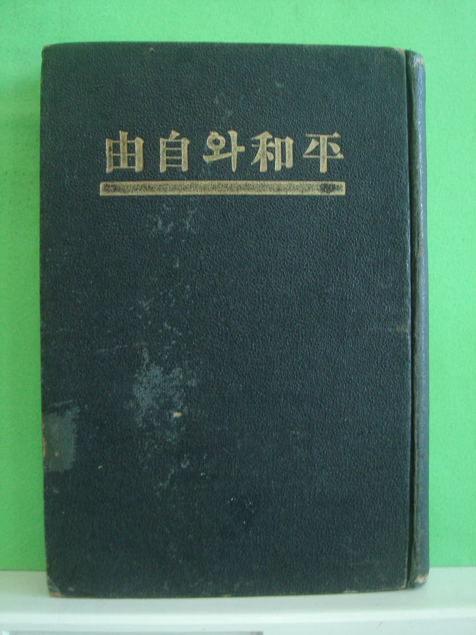김동환/평화와 자유 사진 1